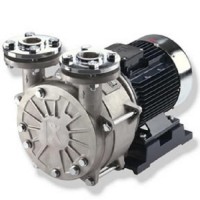 德國Speck機(jī)械密封漩渦泵技術(shù)參數(shù)