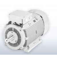 德國VEM滑環(huán)感應電動機S11R系列