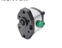 ROQUET鐵鑄齒輪泵1PNA36DE10型號(hào) ROQUET鐵鑄齒輪泵1PNA36DE10型號(hào)