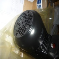 德國(guó)Brinkmann Pumps臥式端吸泵SBA、SBAS-V、SBG、SBGS-V、SBM