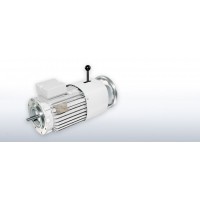 VEM進(jìn)口電機(jī)原裝進(jìn)口優(yōu)勢產(chǎn)品