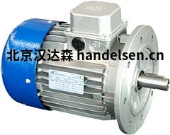 MTMotori標準單相電機 MTMotori標準單相電機產(chǎn)品介紹