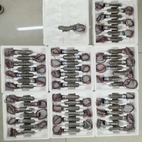 maxon有刷直流電機(jī)DC-max系列DC-max 22