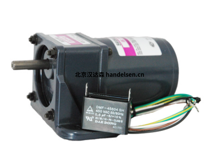 IBCco<em></em>ntrol 6/55型直列斜齒輪電機 