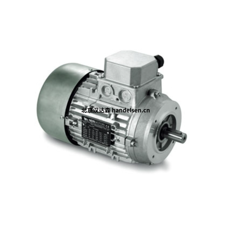 意大利nerimotori MR100A4不銹鋼三相電機(jī)