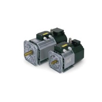 OEMER異步電動機 QCA90SA/2系列 可變速使用，由逆變器供電