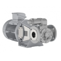 Johnson Pump 內(nèi)嚙合齒輪泵，適用于中等粘度、清潔和非磨蝕性液體