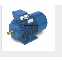 意大利 OEMER 異步電機(jī) MTES3 系列：高效驅(qū)動(dòng)，賦能工業(yè)新動(dòng)能